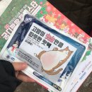 단발냥 | 2018 12월 궁디팡팡 캣페스타 처음 다녀온 후기