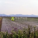 구하리농장 이미지