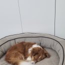 안골3길 4 이미지