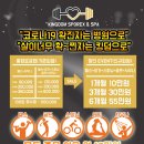 킹덤스포렉스 네이버블로그