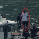 동해-단속-30 이미지