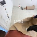 309 | RQ309 스완카페트 시공 후기 입니다. 대전스완카페트총판