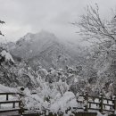 설악초등학교 이미지