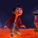 코코컴퍼니 이미지