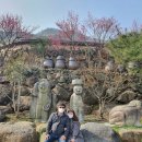 백양사한의원 | 광양 매화마을 홍쌍리 청매실농원 꽃구경