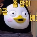 오늘찜해