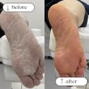 레푸스 성신여대점 이미지