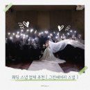 페어리 | 판교 W 스퀘어 그린페어리 스냅 추천 :: 본식 스냅 촬영 & 셀렉 후기까지!