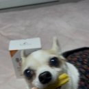 (주)메가덴탈 네이버블로그