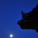 모정민박 이미지