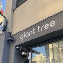 칠성시장역 3번 출구 앞 | 대구동인동카페 <자이언트트리> 카이막맛집 크리스마스분위기 물씬 나는 ❤️