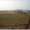 관춘농장 이미지