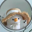 최영골민박 이미지