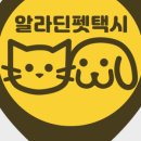 알라딘펫 이미지