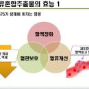 비채플러스 이미지