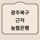 농협 남광주지점 | 광주 북구 근처 농협은행 영업시간 추천 정보 위치 후기 통장 체크카드 금리 예금 신용카드