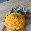 정실농장 이미지