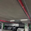 더 센트로드 | 송도 맛집 센트로드 우동 마루젠우동 익스프레스