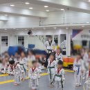 한미경희태권도 이미지