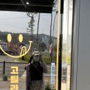 십일남매 이미지