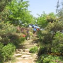 솔향기 쉼터 이미지