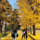 실과 함께 이미지