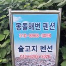 솔고지 | 여수펜션 휴가지로 지인들과 쉬러가기 좋은 솔고지펜션