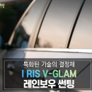 틴트리