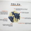 이산흑염소 이미지