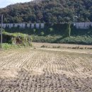 대운산리 이미지