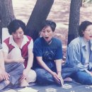 오재옥 Daum카페