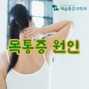 채움정형외과의원 티스토리