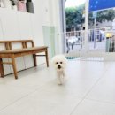 어서왈왈 이미지