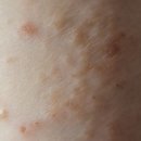 위즈덤의원 이미지