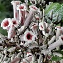 운리마을 이미지