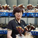 김창기머쉬룸팜 이미지