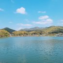 갈치저수지 이미지