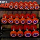 나홀로짐 침산점 이미지