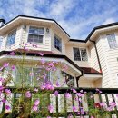 자연을 닮은 집 이미지