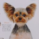 강아지 정거장 이미지