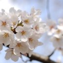 삼호본동경로당 이미지