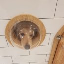 달래동물의료센터 이미지