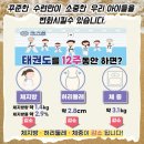 다정태권도 이미지