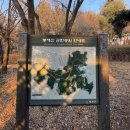 화곡배수지체육공원 네이버블로그