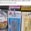 귀민당 | 귀민이 등장