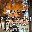 메타길5(어린이프로방스) | 광주 근교 단풍놀이 가을 맛집/메타프로방스 메타쉐카이어 길