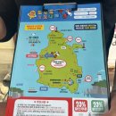 제주 트윈즈 | 제주/우도 - 우도 가볼만한 곳, 우도 전기차 파미 예약 후기 &lt;코코나라&gt;