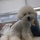 사림동253 이미지