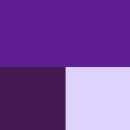 Lavenders 티스토리