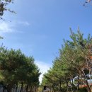 농공단지길 이미지